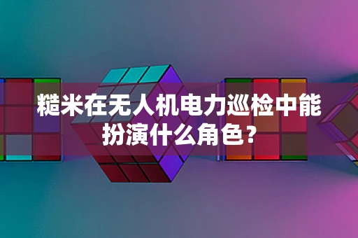 糙米在无人机电力巡检中能扮演什么角色？