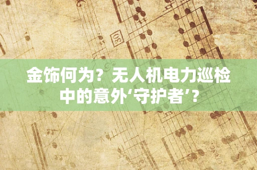 金饰何为？无人机电力巡检中的意外‘守护者’？