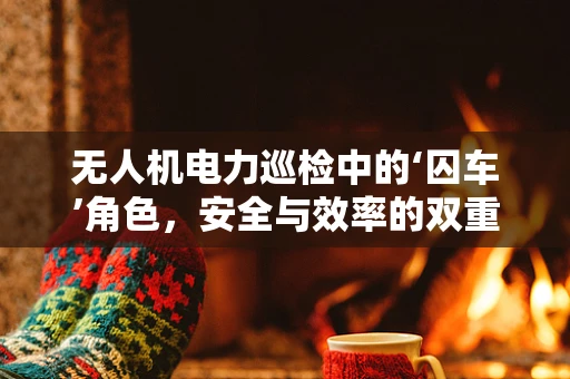 无人机电力巡检中的‘囚车’角色，安全与效率的双重保障？