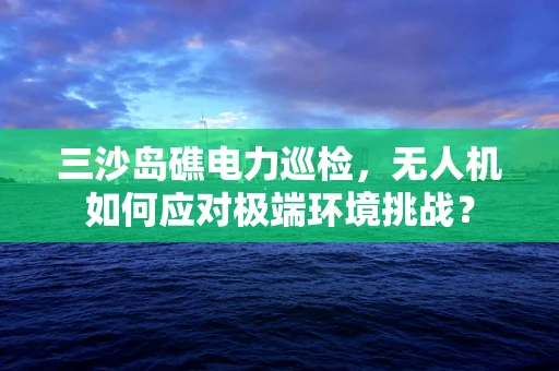 三沙岛礁电力巡检，无人机如何应对极端环境挑战？