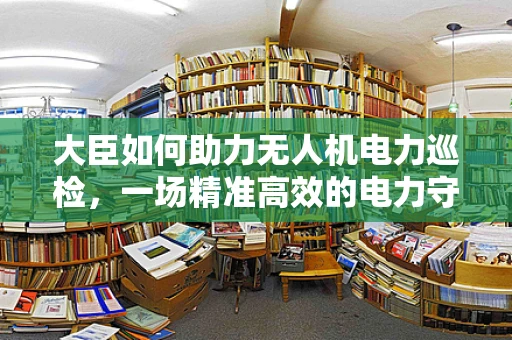 大臣如何助力无人机电力巡检，一场精准高效的电力守护战