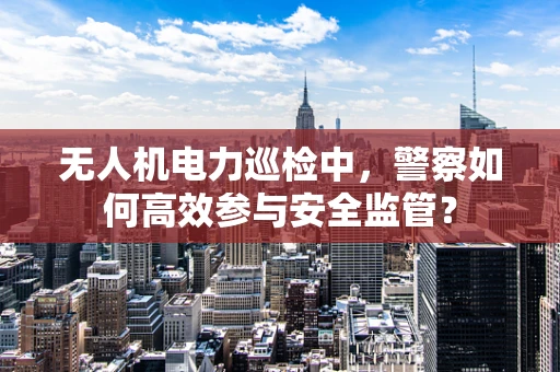 无人机电力巡检中，警察如何高效参与安全监管？