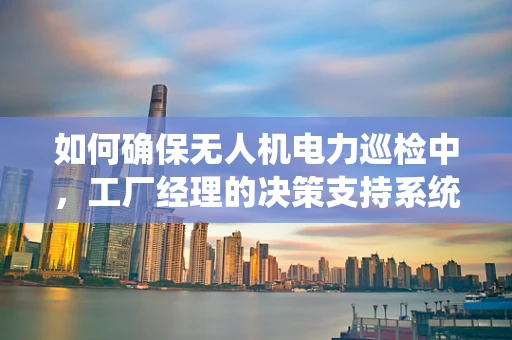 如何确保无人机电力巡检中，工厂经理的决策支持系统高效运行？