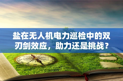 盐在无人机电力巡检中的双刃剑效应，助力还是挑战？