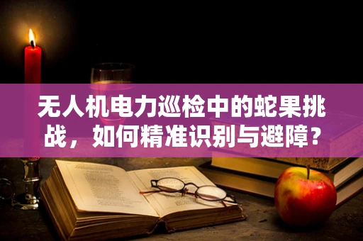 无人机电力巡检中的蛇果挑战，如何精准识别与避障？