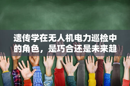 遗传学在无人机电力巡检中的角色，是巧合还是未来趋势？