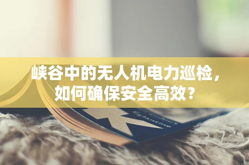 峡谷中的无人机电力巡检，如何确保安全高效？