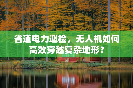 省道电力巡检，无人机如何高效穿越复杂地形？