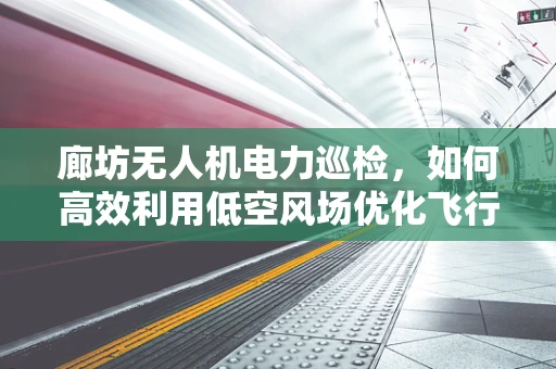 廊坊无人机电力巡检，如何高效利用低空风场优化飞行路径？