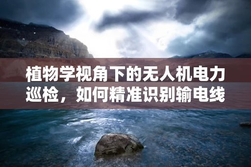 植物学视角下的无人机电力巡检，如何精准识别输电线路旁的植被生长？