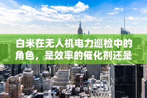 白米在无人机电力巡检中的角色，是效率的催化剂还是未知的挑战？