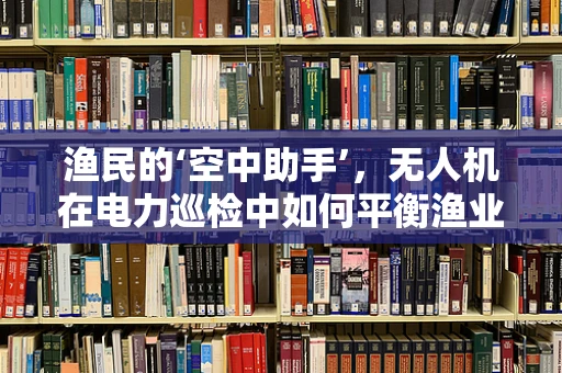 渔民的‘空中助手’，无人机在电力巡检中如何平衡渔业安全与电力设施保护？