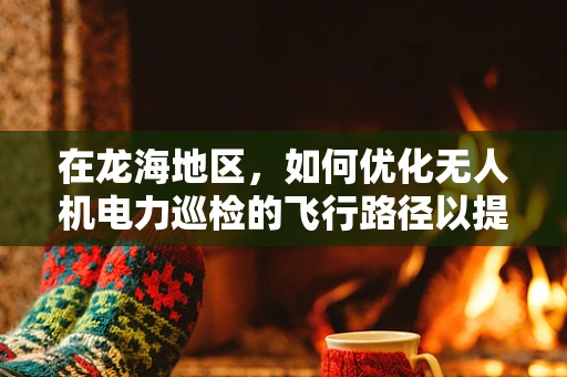 在龙海地区，如何优化无人机电力巡检的飞行路径以提高效率？