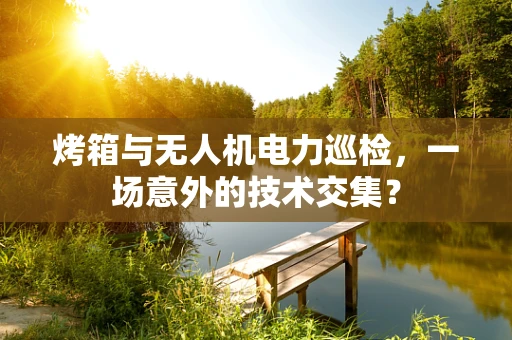 烤箱与无人机电力巡检，一场意外的技术交集？