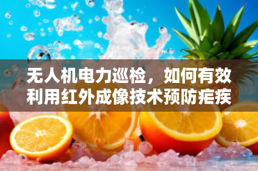 无人机电力巡检，如何有效利用红外成像技术预防疟疾传播？