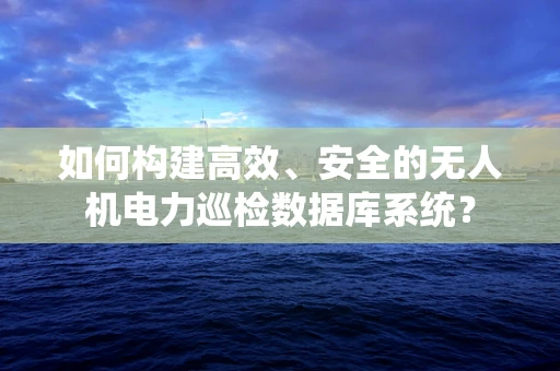 如何构建高效、安全的无人机电力巡检数据库系统？