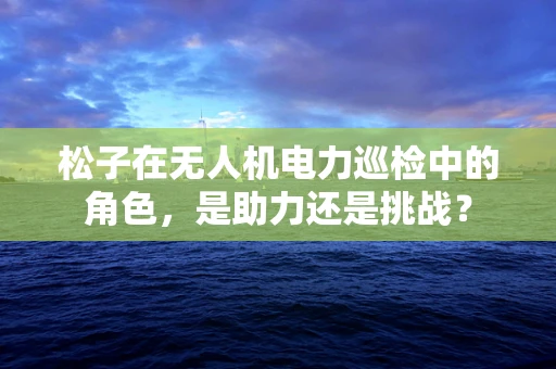 松子在无人机电力巡检中的角色，是助力还是挑战？