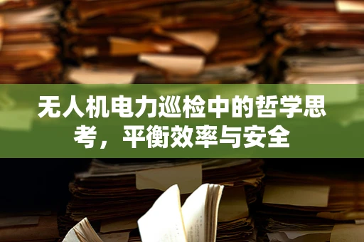 无人机电力巡检中的哲学思考，平衡效率与安全