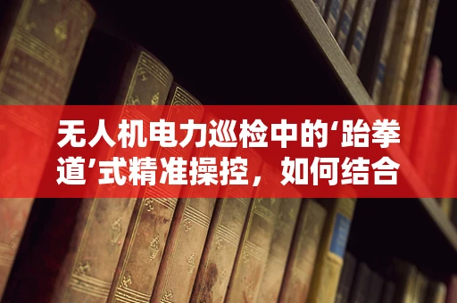 无人机电力巡检中的‘跆拳道’式精准操控，如何结合武术精神提升飞行稳定性？