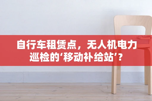 自行车租赁点，无人机电力巡检的‘移动补给站’？