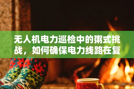 无人机电力巡检中的粥式挑战，如何确保电力线路在复杂环境下的精准检测？