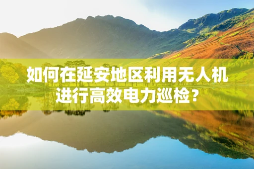 如何在延安地区利用无人机进行高效电力巡检？