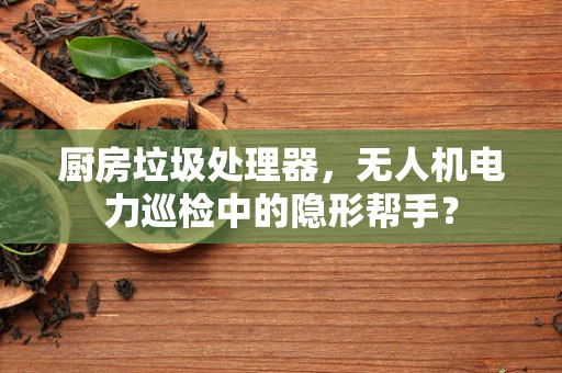 厨房垃圾处理器，无人机电力巡检中的隐形帮手？