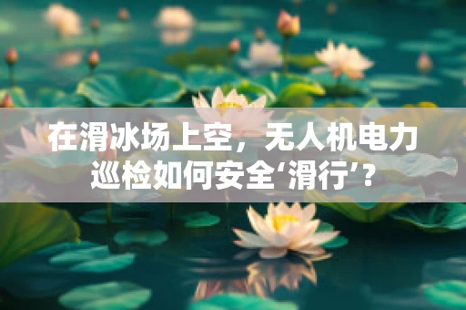 在滑冰场上空，无人机电力巡检如何安全‘滑行’？