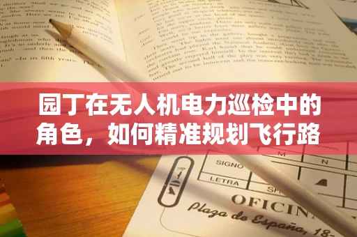 园丁在无人机电力巡检中的角色，如何精准规划飞行路径？