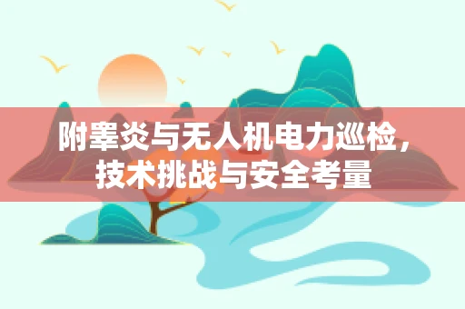 附睾炎与无人机电力巡检，技术挑战与安全考量