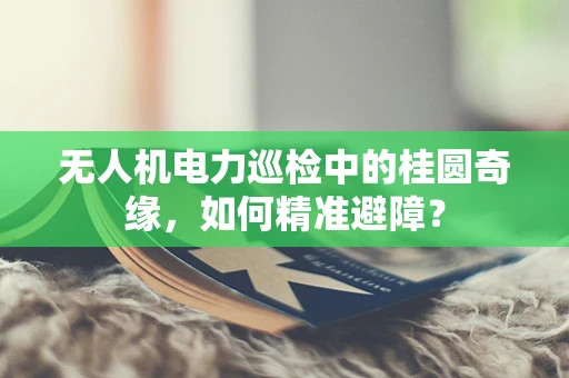 无人机电力巡检中的桂圆奇缘，如何精准避障？