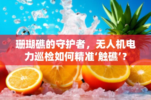 珊瑚礁的守护者，无人机电力巡检如何精准‘触礁’？