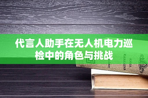 代言人助手在无人机电力巡检中的角色与挑战