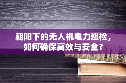 朝阳下的无人机电力巡检，如何确保高效与安全？