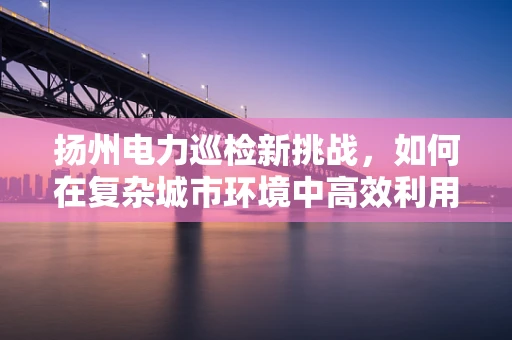 扬州电力巡检新挑战，如何在复杂城市环境中高效利用无人机进行电力线路监测？