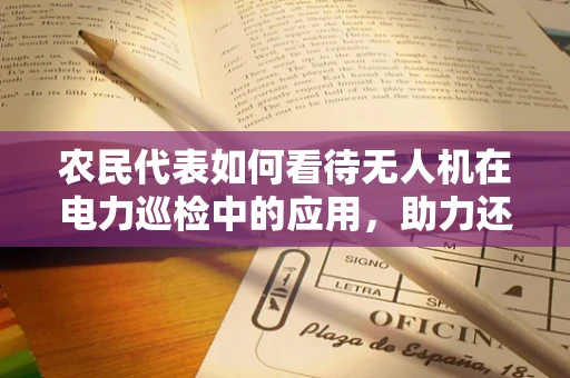 农民代表如何看待无人机在电力巡检中的应用，助力还是挑战？