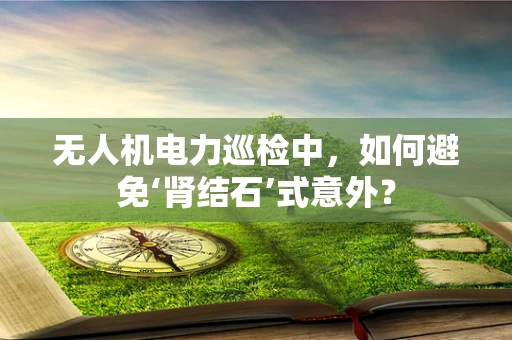 无人机电力巡检中，如何避免‘肾结石’式意外？