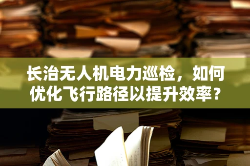 长治无人机电力巡检，如何优化飞行路径以提升效率？