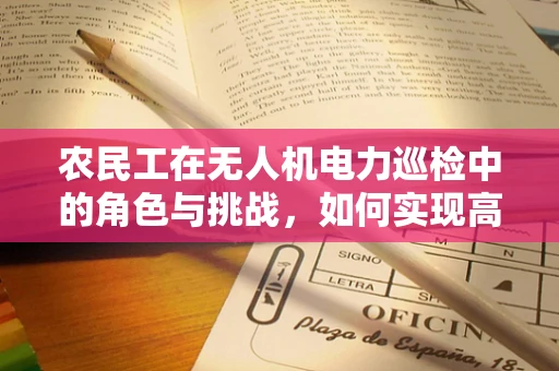 农民工在无人机电力巡检中的角色与挑战，如何实现高效协作？