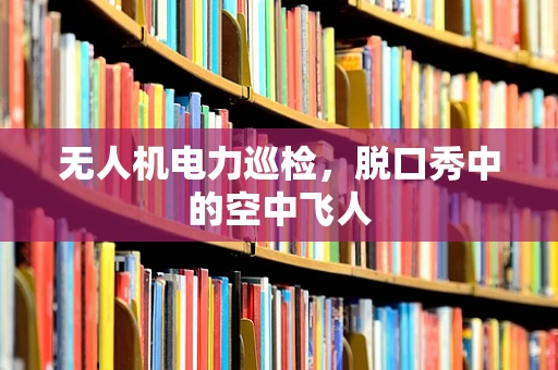 无人机电力巡检，脱口秀中的空中飞人