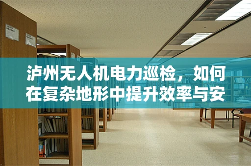 泸州无人机电力巡检，如何在复杂地形中提升效率与安全性？