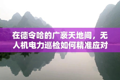 在德令哈的广袤天地间，无人机电力巡检如何精准应对高海拔挑战？