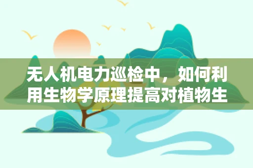 无人机电力巡检中，如何利用生物学原理提高对植物生长影响的监测精度？