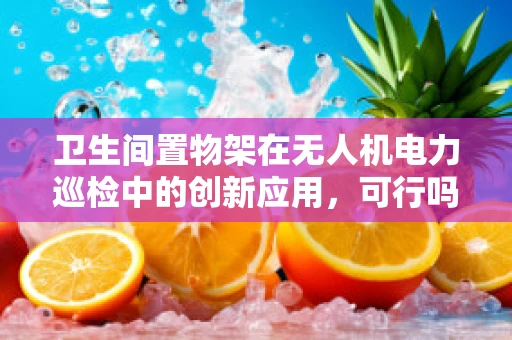 卫生间置物架在无人机电力巡检中的创新应用，可行吗？