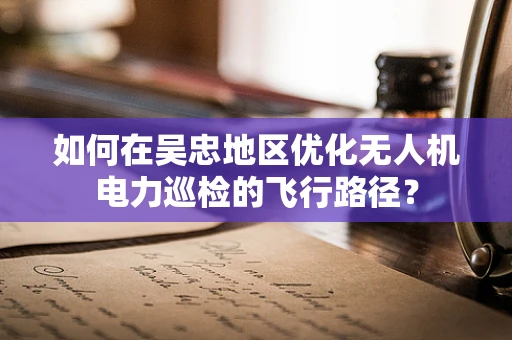 如何在吴忠地区优化无人机电力巡检的飞行路径？