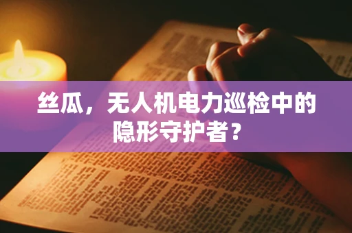 丝瓜，无人机电力巡检中的隐形守护者？