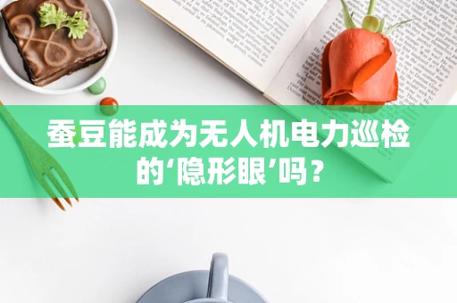 蚕豆能成为无人机电力巡检的‘隐形眼’吗？