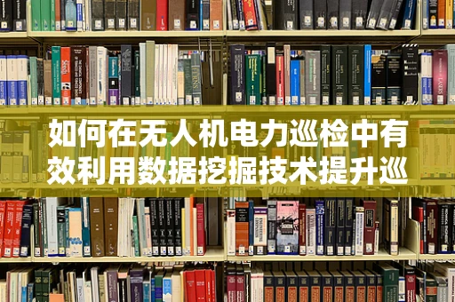 如何在无人机电力巡检中有效利用数据挖掘技术提升巡检效率？