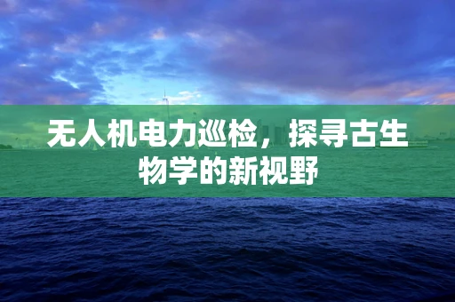 无人机电力巡检，探寻古生物学的新视野