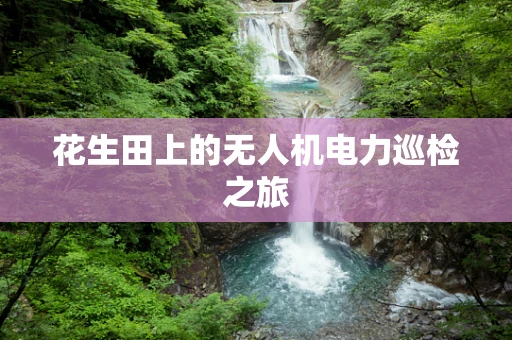 花生田上的无人机电力巡检之旅